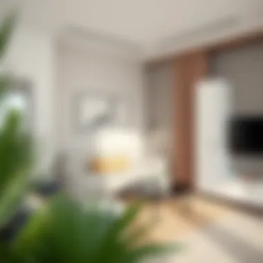 Comfortable studio living space with minimalist decor