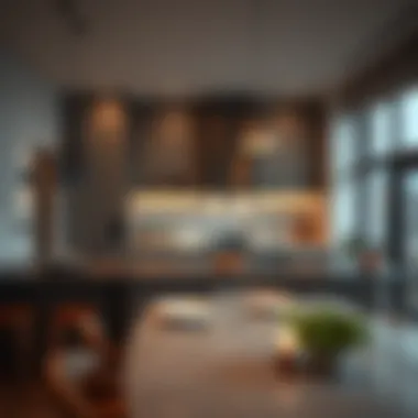 Contemporary kitchen in Shabiya emphasizing functionality and design
