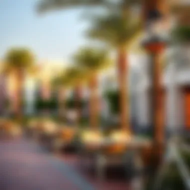 Community Spaces in South Bay Vibrant community spaces and amenities enhancing lifestyle in South Bay
